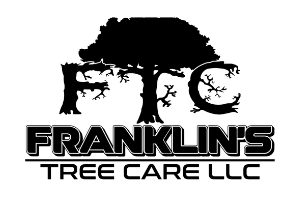 franklins-tree-care-logo small