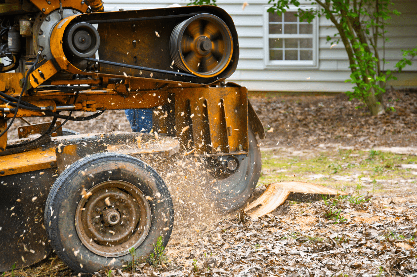 stump grinding 3